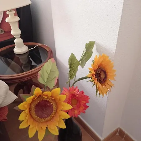 Piso Apartment *